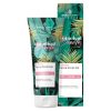 Skin Academy London Botanical Beauty Purifying Face Scrub