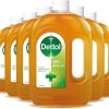 Dettol Liquid 750Ml